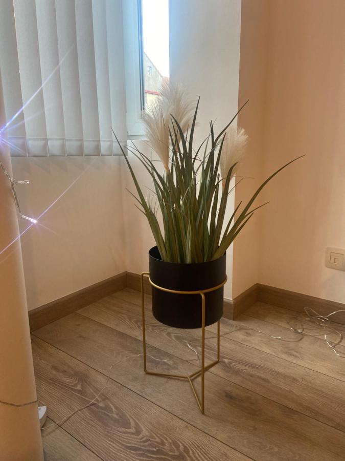 Modern Appartement Centrum Oostende Экстерьер фото